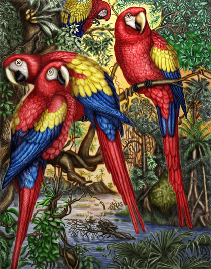 Colourful Parrots Painting Print 100% Australian Made