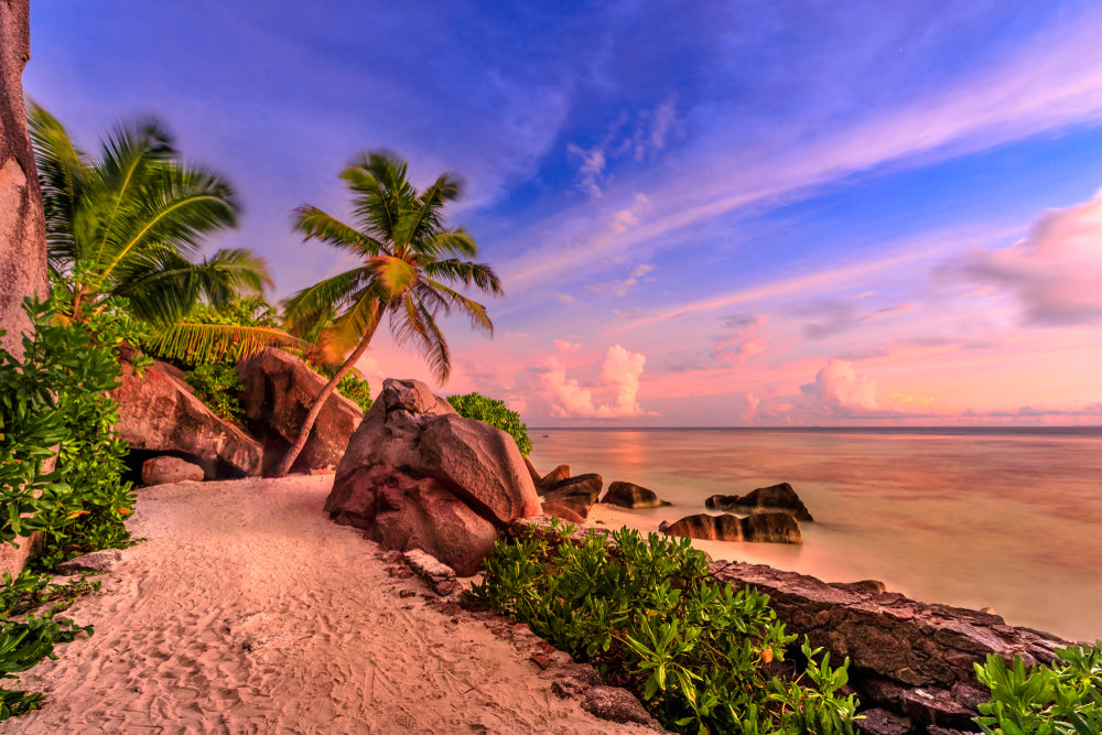 Beach with Palm Trees & Rocks Photograph Print 100% Australian Made