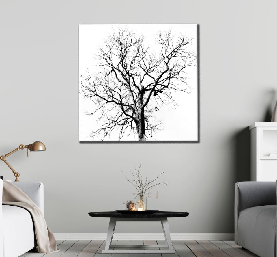 Square Canvas Dead Tree B&W Photograph High Quality Print 100% Australian Made