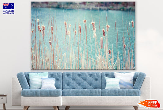 Wetland Grass Stunning Photograph Print 100% Australian Made