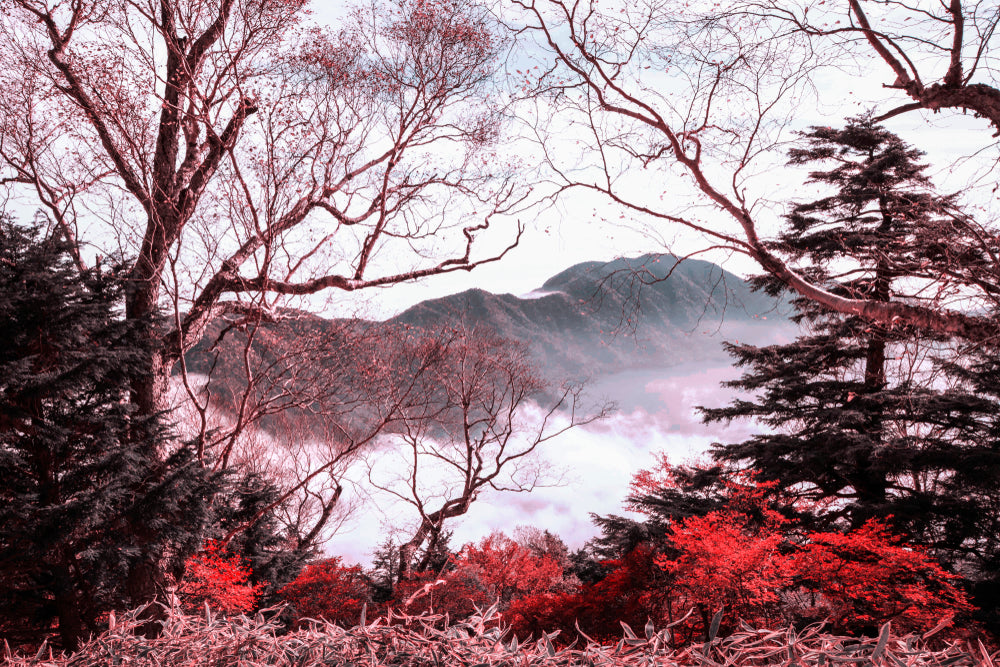 Nature Landscape View Photograph Print 100% Australian Made