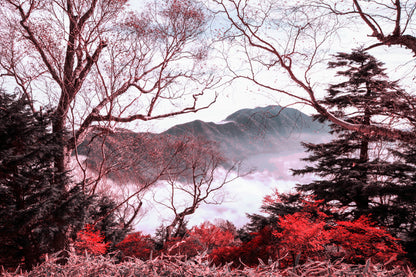 Nature Landscape View Photograph Print 100% Australian Made