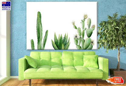 Cactus Plants Watercolor Painting Print 100% Australian Made