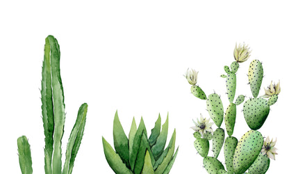 Cactus Plants Watercolor Painting Print 100% Australian Made