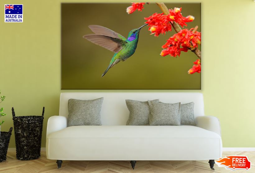 Humming Bird with Red Flowers Photograph Print 100% Australian Made