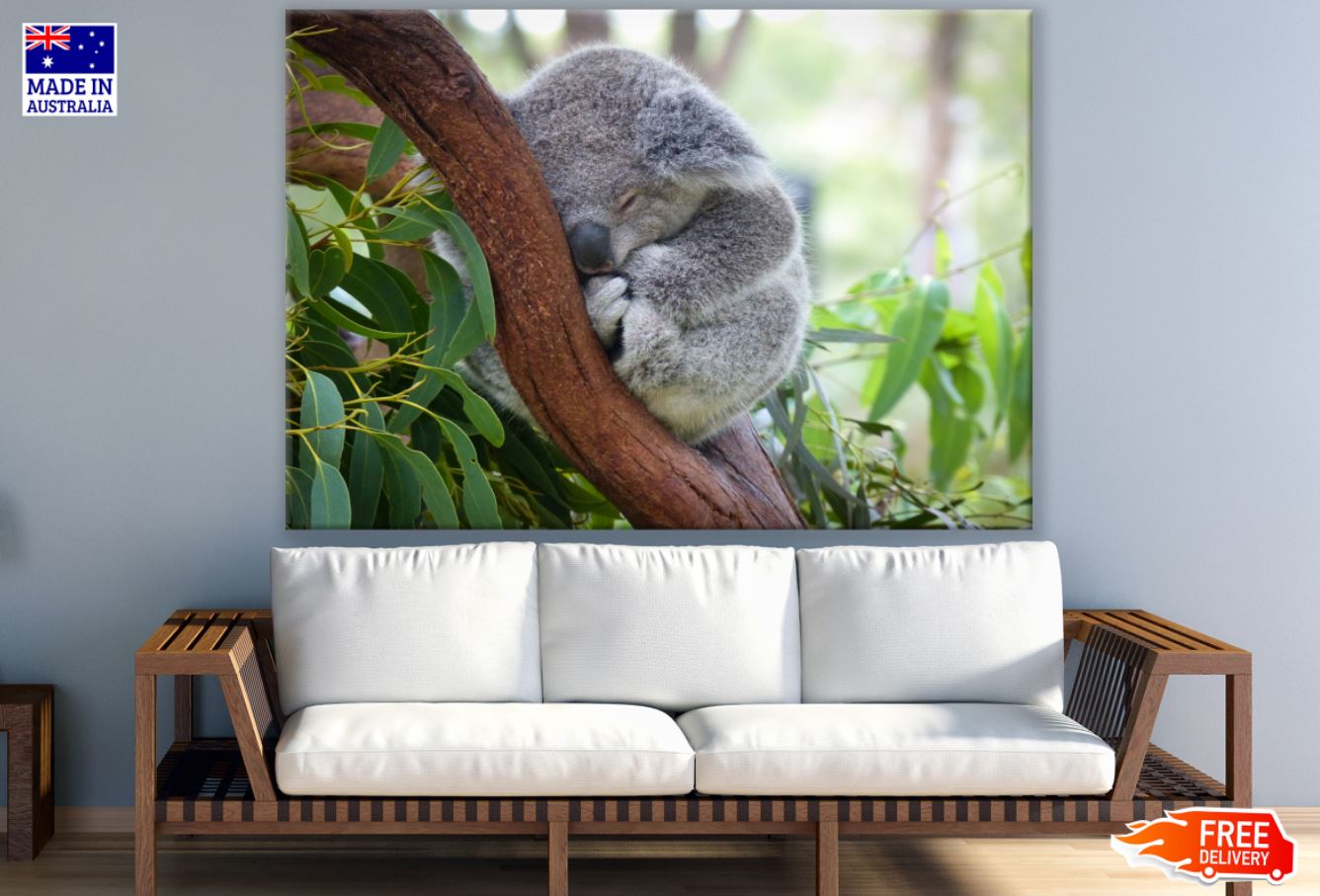Koala Bear on a Tree Photograph Print 100% Australian Made