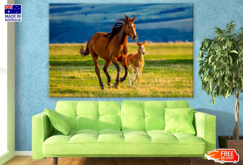 Horse & Foal Running Photograph Print 100% Australian Made