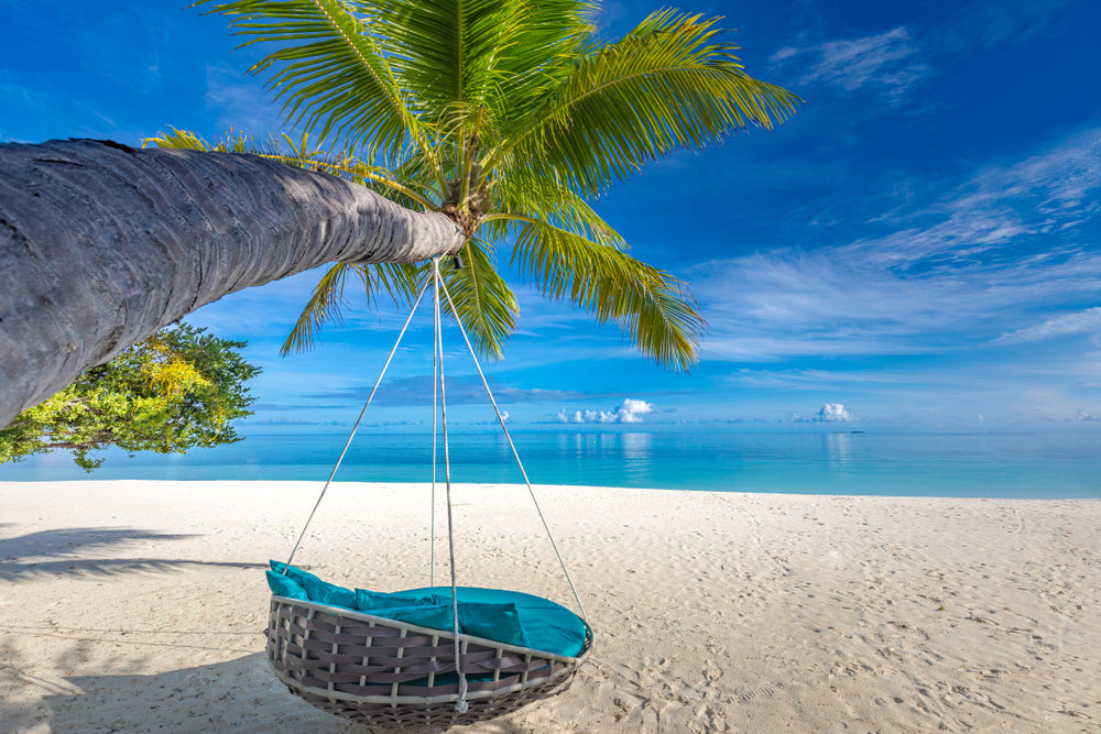 Tropical Beach Landscape with Beach View Photograph swing Print 100% Australian Made