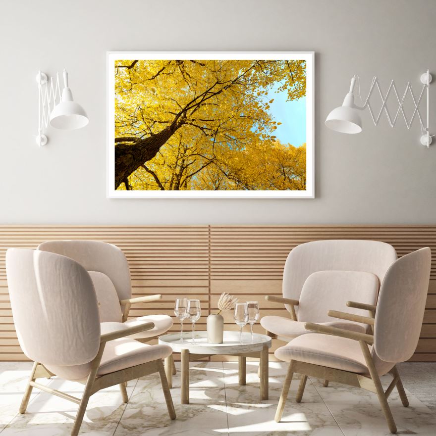 Yellow Leaves Trees Photograph Home Decor Premium Quality Poster Print Choose Your Sizes