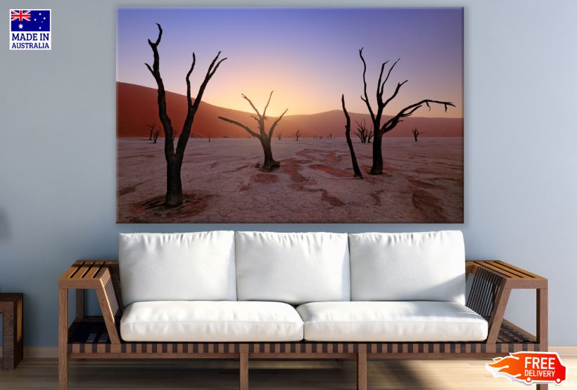 Dead Trees on Desert at Sunset Photograph Print 100% Australian Made