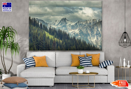 Stunning Forest & Mountain View Photograph Print 100% Australian Made