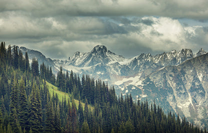 Trees on Mountain Scenery Photograph Home Decor Premium Quality Poster Print Choose Your Sizes