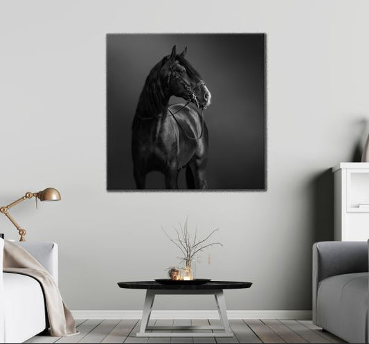 Square Canvas Black Horse B&W Photograph High Quality Print 100% Australian Made