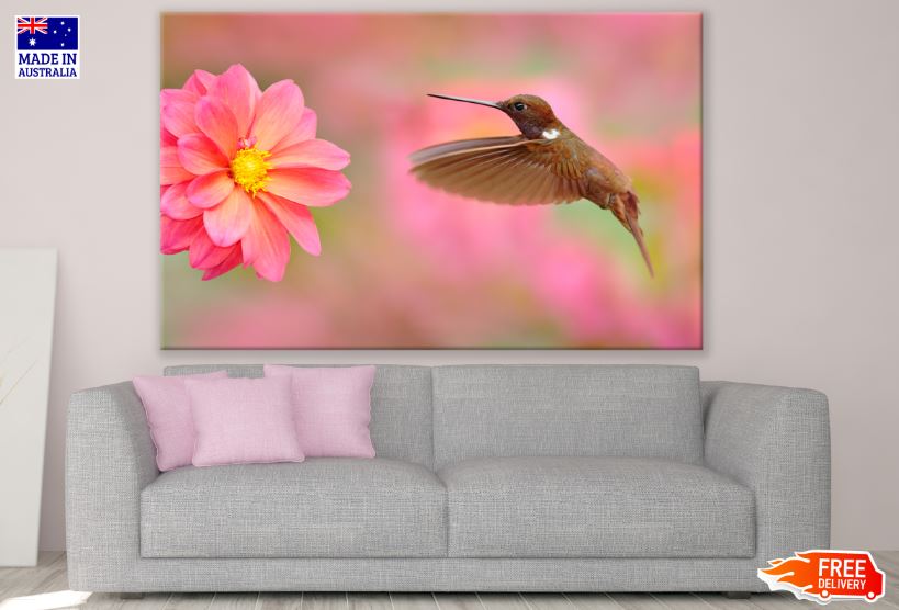 Humming Bird & Flower Photograph Print 100% Australian Made