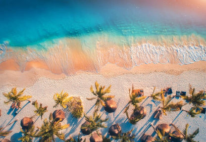 Sea, Trees Aerial View Photograph Print 100% Australian Made