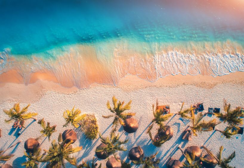 Sea & Palm Tree Aerial View Photograph Print 100% Australian Made