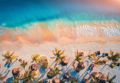 Sea & Palm Tree Aerial View Photograph Print 100% Australian Made