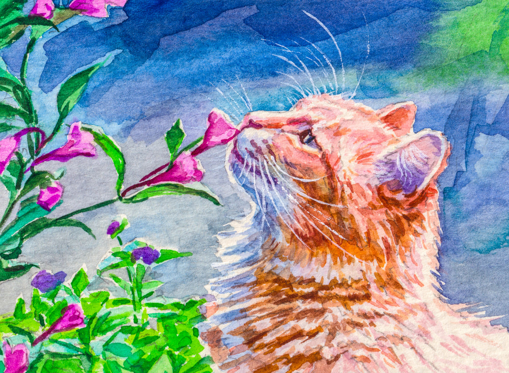 Cat Sniffing Pink Flowers Painting Print 100% Australian Made