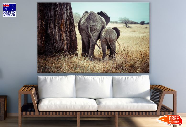 Elephant & Calf Walking Photograph Print 100% Australian Made