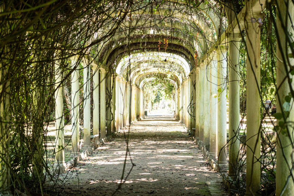 Garden Tree Tunnel Photography Print 100% Australian Made