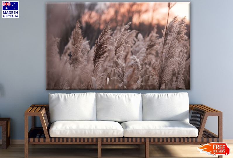 Grass View at Sunset Photograph Print 100% Australian Made