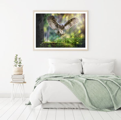 Flying Owl Closeup Photograph Home Decor Premium Quality Poster Print Choose Your Sizes