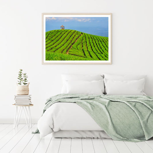 Stunning Tea Estate Scenery View Photograph Home Decor Premium Quality Poster Print Choose Your Sizes