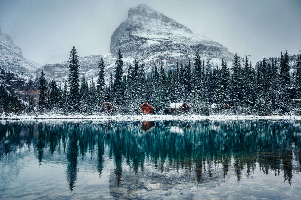 Stunning Snow Landscape View Photograph Print 100% Australian Made