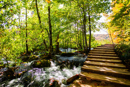 Wooden Stairs Over Water Stream Photograph Print 100% Australian Made