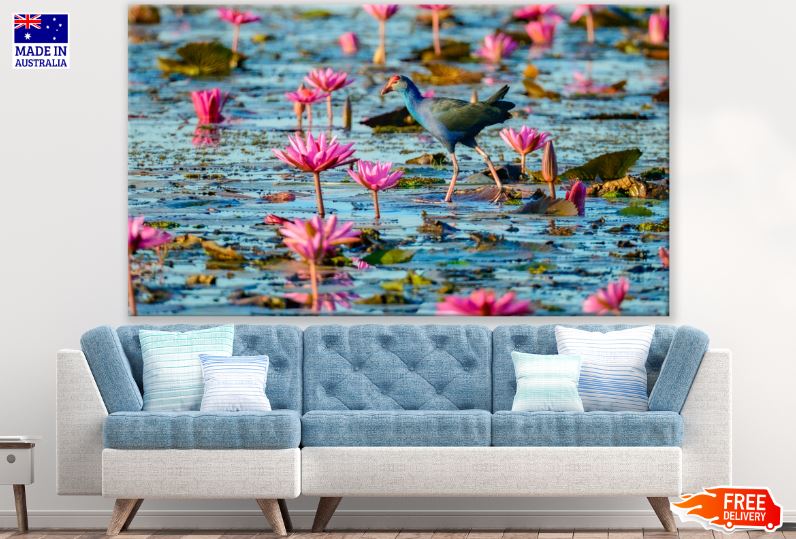 Beautiful Bird Walking Over Lotus Lake Photograph Print 100% Australian Made