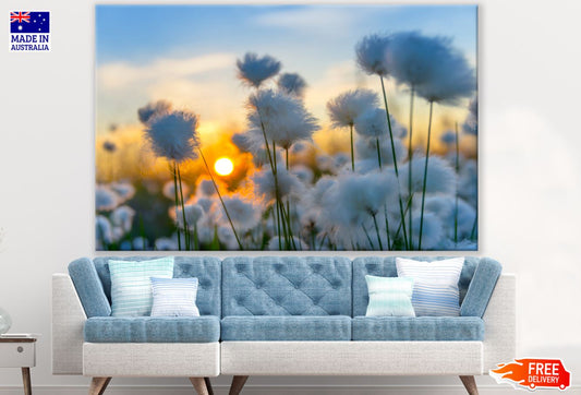 White Flowers Sunset View Closeup Print 100% Australian Made