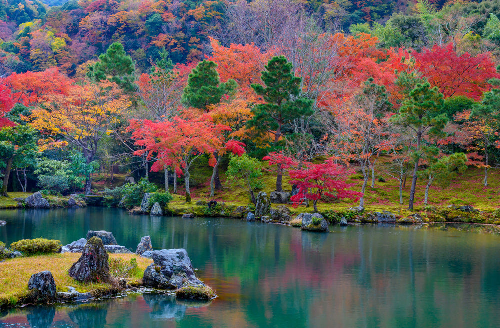 Colourful Trees Near Lake Mountain View Photograph Print 100% Australian Made