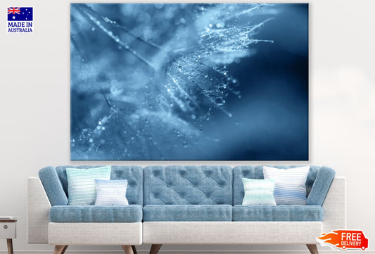 Water Drops on Dandelion Flowers Photograph Print 100% Australian Made