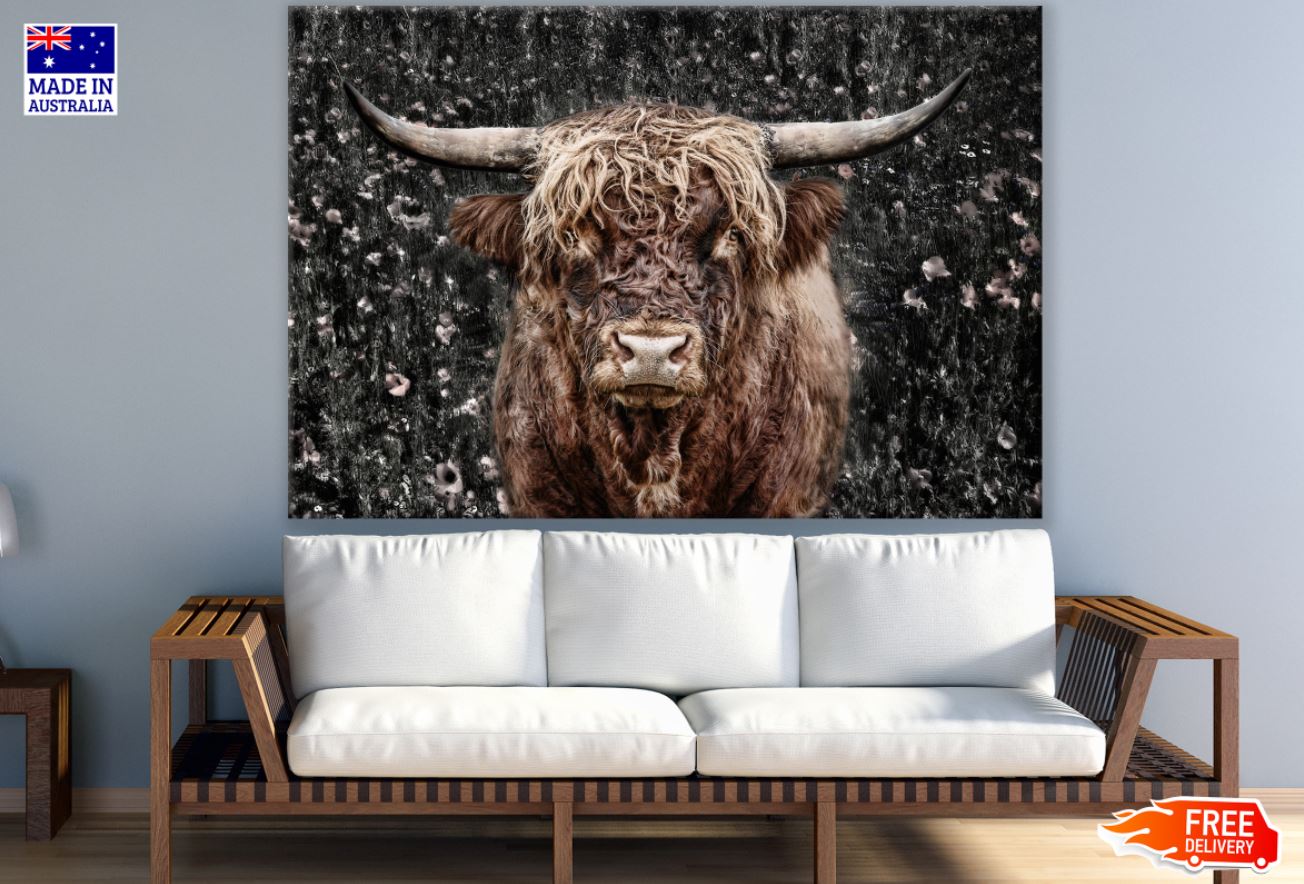 Highland Cow Closeup Photograph Print 100% Australian Made