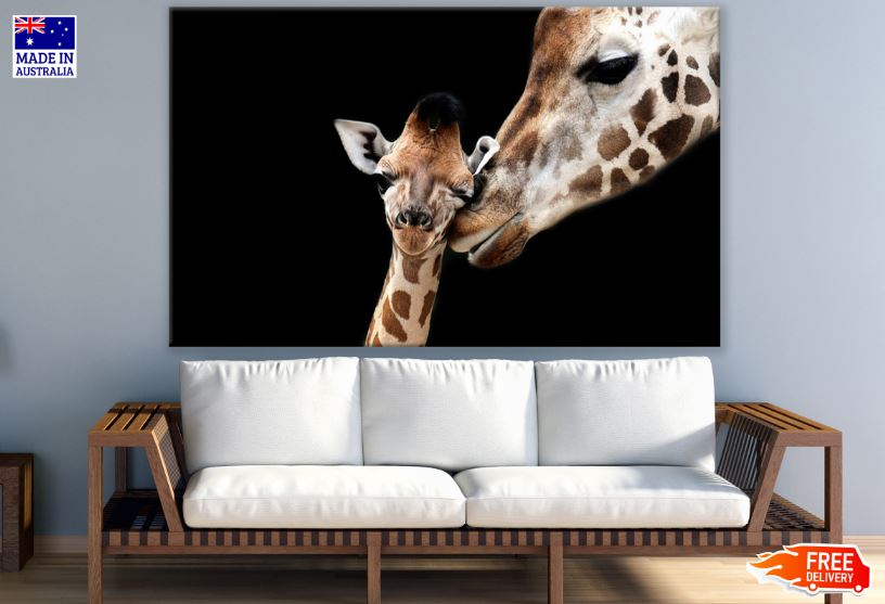 Giraffe & Calf Portrait Photograph Print 100% Australian Made