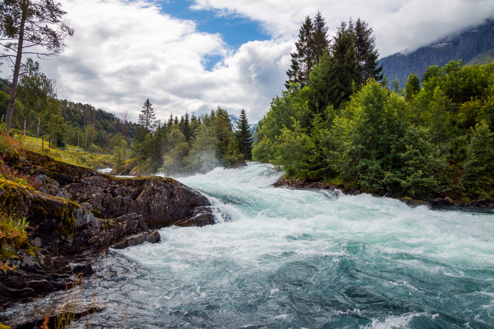 River & Forest Scenery Photograph Home Decor Premium Quality Poster Print Choose Your Sizes