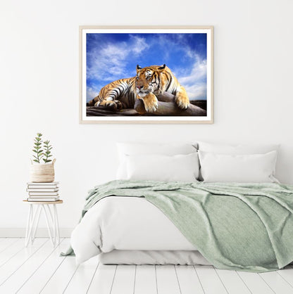 Tiger Sitting on Trunk Photograph Home Decor Premium Quality Poster Print Choose Your Sizes