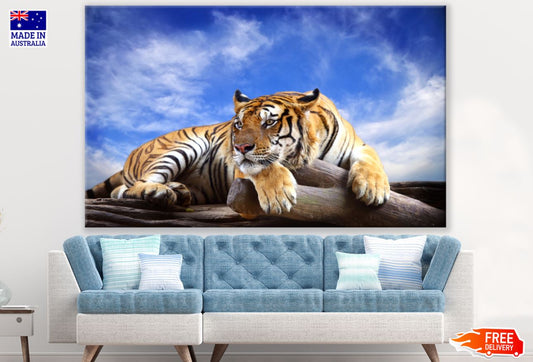 Tiger Sitting on Trunk Photograph Print 100% Australian Made