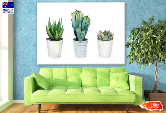 Cactus Plants Watercolor Painting Print 100% Australian Made