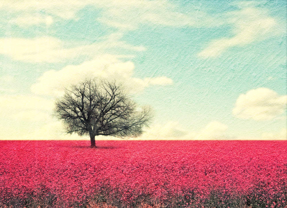 Tree in a Flower Field Print 100% Australian Made