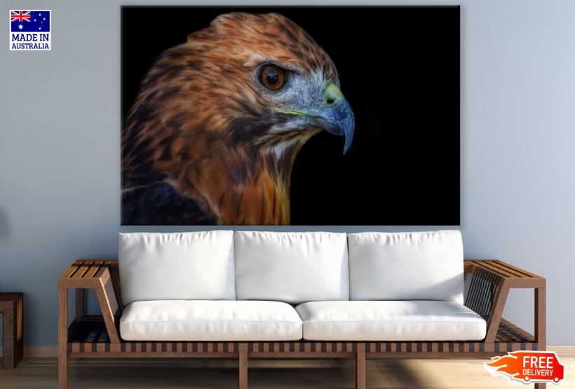 Eagle Portrait Photograph Print 100% Australian Made