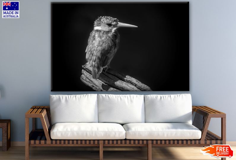 Kingfisher Bird B&W Photograph Print 100% Australian Made