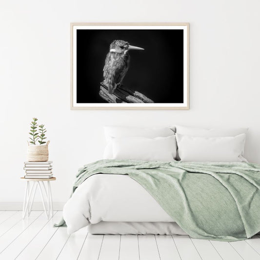 Kookaburra Bird B&W Photograph Home Decor Premium Quality Poster Print Choose Your Sizes
