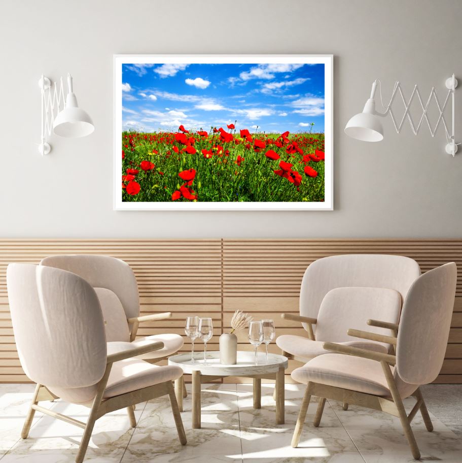 Red Flower Field Photograph Home Decor Premium Quality Poster Print Choose Your Sizes