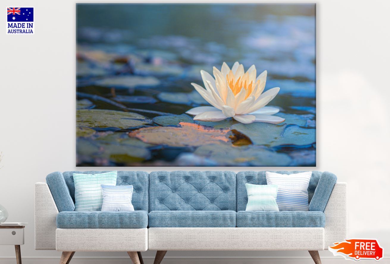 Lotus Flower on Water Photograph Print 100% Australian Made