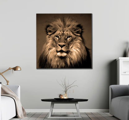 Square Canvas Lion Portrait Photograph High Quality Print 100% Australian Made