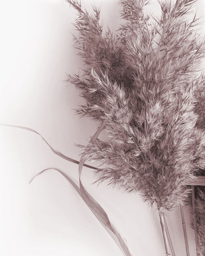 Dry Flowers Closeup Photograph Home Decor Premium Quality Poster Print Choose Your Sizes
