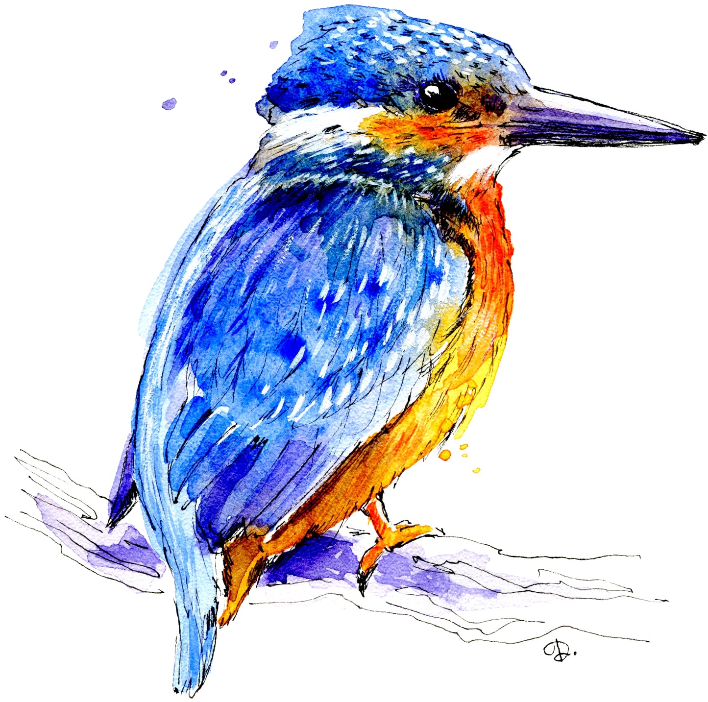 Square Canvas Kingfisher Bird Painting High Quality Print 100% Australian Made