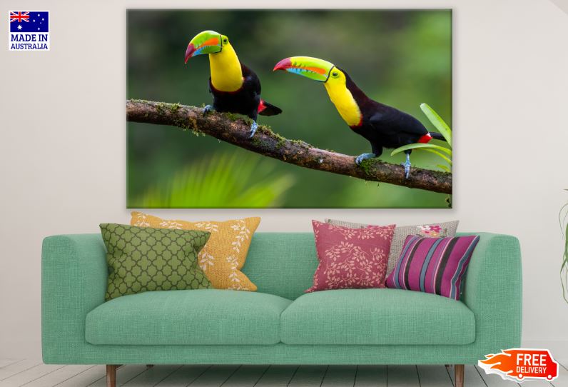Toucan Birds Sitting on a Tree Branch Photograph Print 100% Australian Made