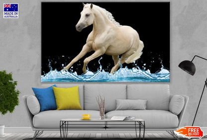 Horse Running On Water Photograph Print 100% Australian Made